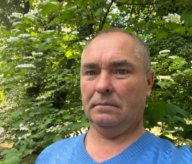 Roman, 51, Ryazan