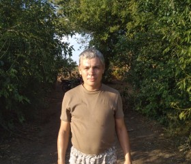Evgeniy Pavlovich, 46, Ussuriysk