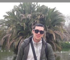 Aleksey, 37, Malmoe