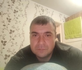Vladimir, 42, Rotterdam