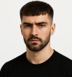 ibragimov