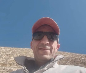 Fox, 43, Cairo