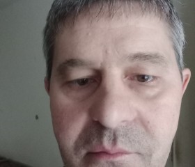 Neluțu, 44, Targu-Mures