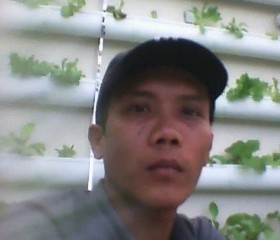 Bụi trần, 41, Ho Chi Minh City