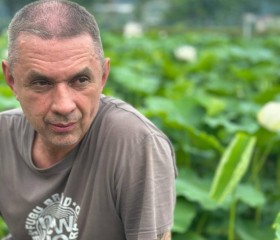 roman, 56, Cheongju-si