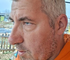 Stefan, 40, Dresden