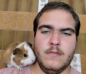 Sasori, 22, Alicante
