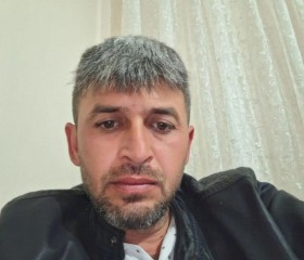 Murat, 38, Bodrum
