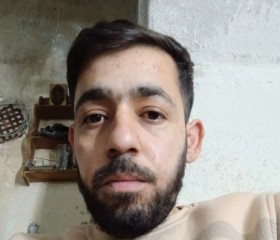 علي, 33, Toronto
