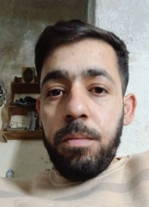 علي, 33, Canada, Toronto