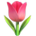 🌷