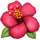 🌺