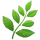 🌿