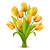 Yellow Tulips